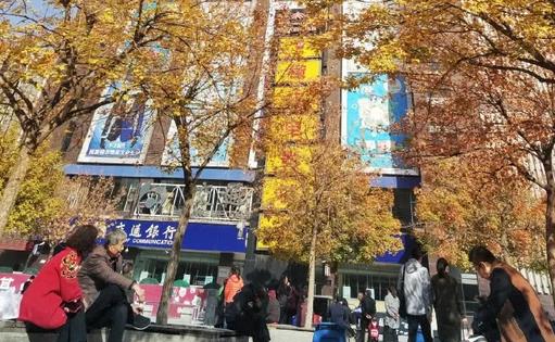 太原服裝城老年活動(dòng)中心秋色宜人，放眼望去一片金黃 新聞資訊 第2張